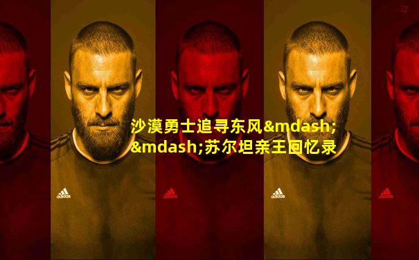 沙漠勇士追寻东风——苏尔坦亲王回忆录