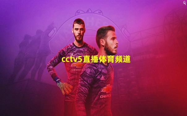cctv5直播体育频道