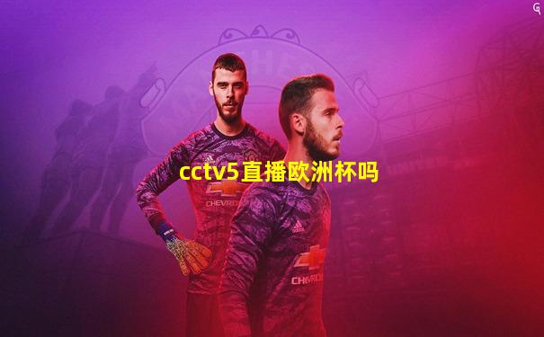 cctv5直播欧洲杯吗
