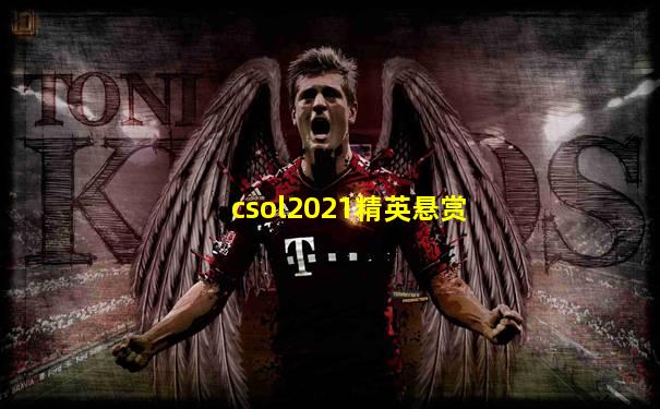 csol2021精英悬赏