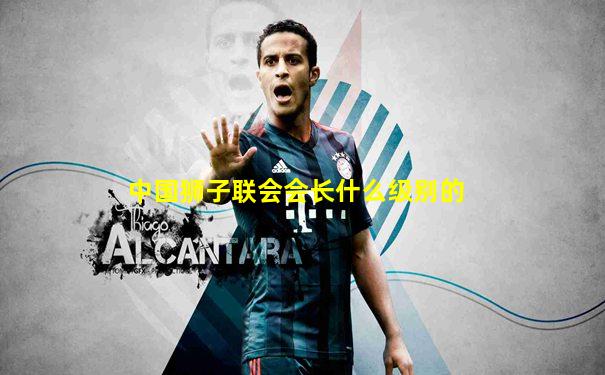中国狮子联会会长什么级别的