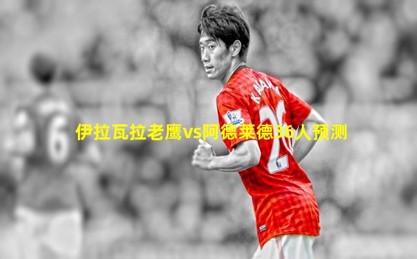 伊拉瓦拉老鹰vs阿德莱德36人预测