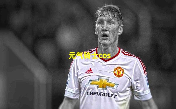 元气骑士cos