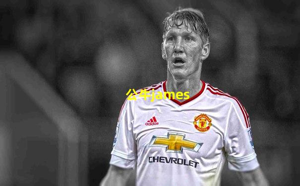公牛james