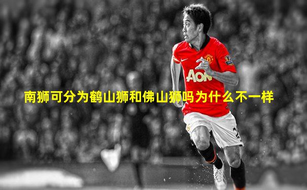 南狮可分为鹤山狮和佛山狮吗为什么不一样