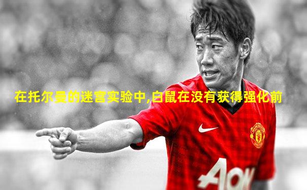 在托尔曼的迷宫实验中,白鼠在没有获得强化前