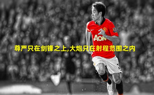 尊严只在剑锋之上,大炮只在射程范围之内