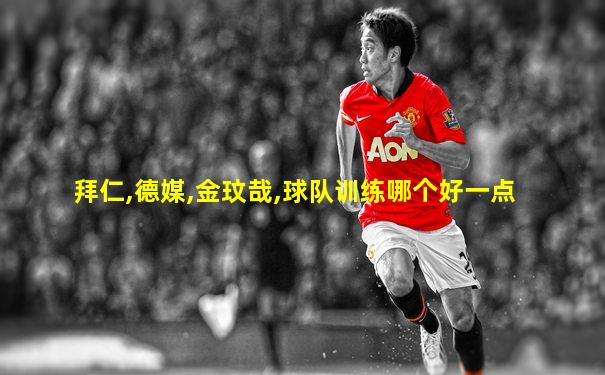 拜仁,德媒,金玟哉,球队训练哪个好一点
