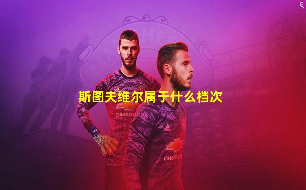 斯图夫维尔属于什么档次