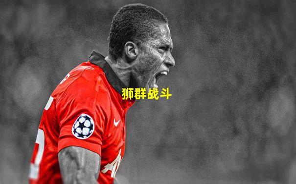 狮群战斗