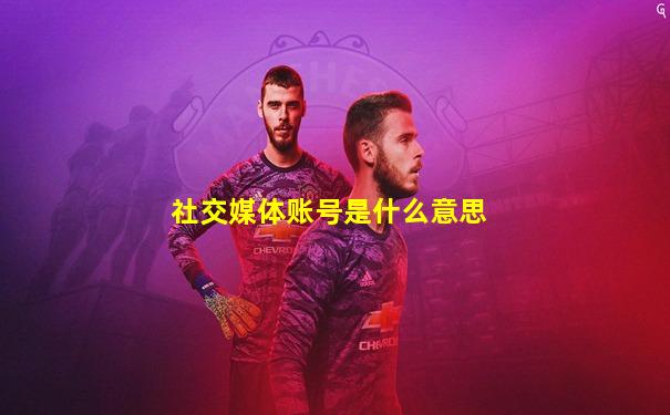 社交媒体账号是什么意思