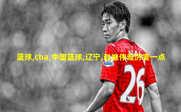 篮球,cba,中国篮球,辽宁,赵继伟谁厉害一点