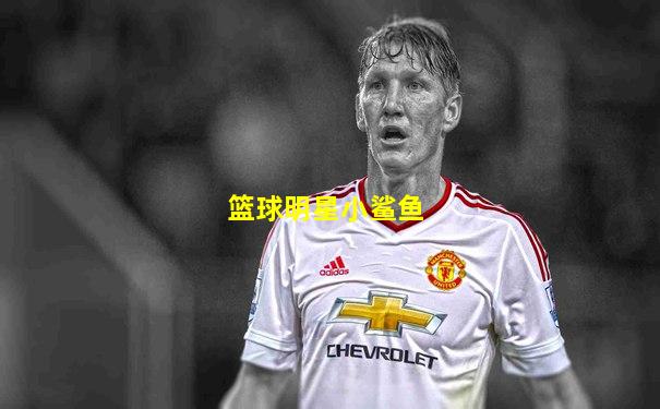 篮球明星小鲨鱼