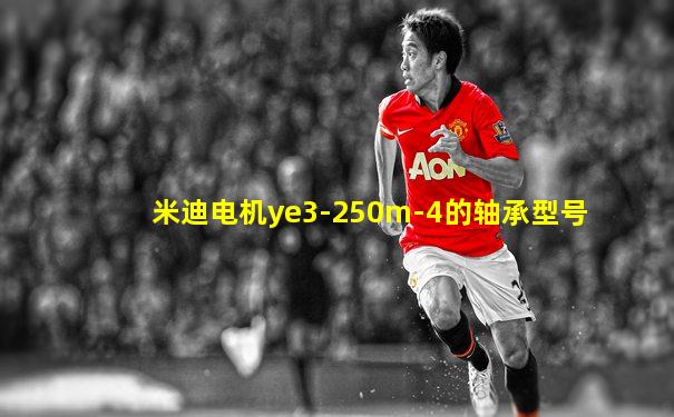 米迪电机ye3-250m-4的轴承型号