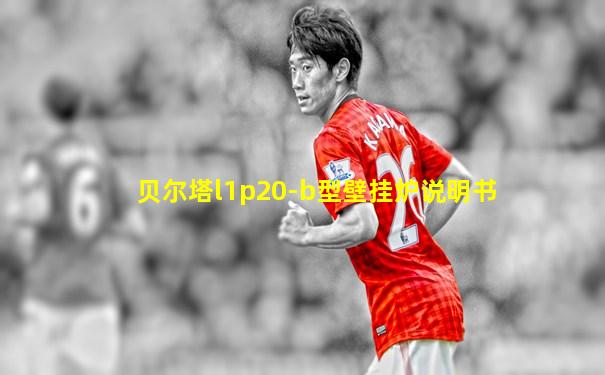 贝尔塔l1p20-b型壁挂炉说明书