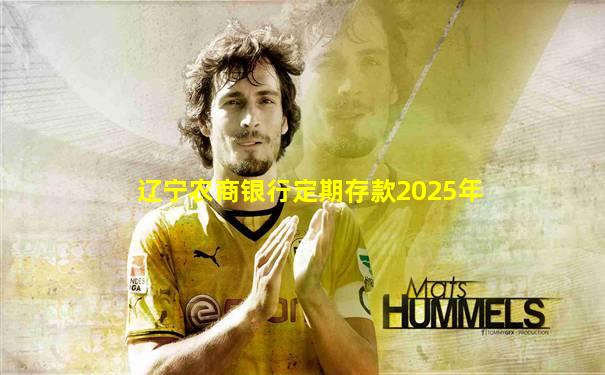 辽宁农商银行定期存款2025年