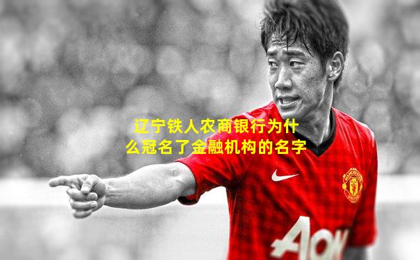 辽宁铁人农商银行为什么冠名了金融机构的名字