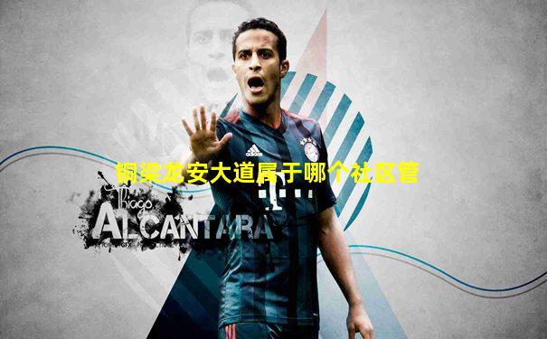 铜梁龙安大道属于哪个社区管