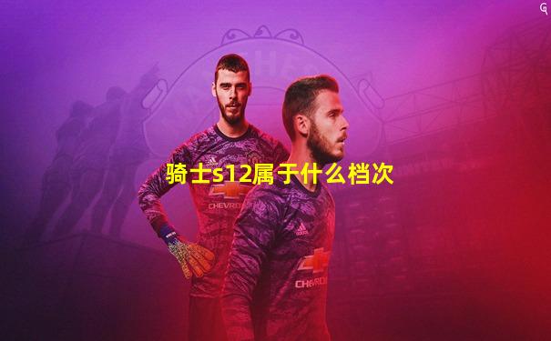 骑士s12属于什么档次
