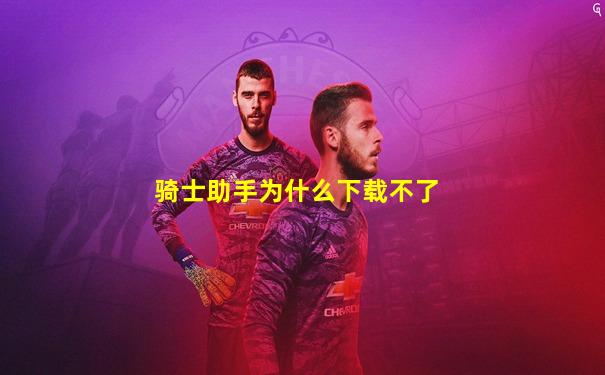 骑士助手为什么下载不了