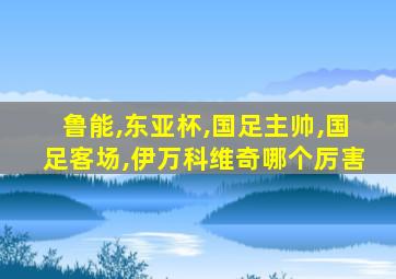 鲁能,东亚杯,国足主帅,国足客场,伊万科维奇哪个厉害